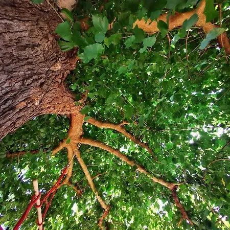 Relax Zone דירה *