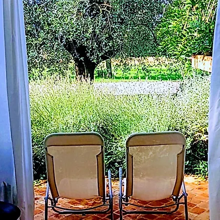 Relax Zone Апартаменты *