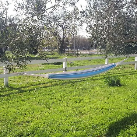 Relax Zone דירה אומאג