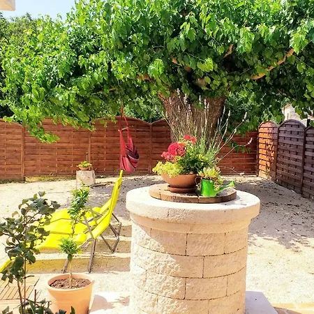 Relax Zone * אומאג