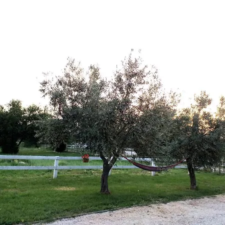 Relax Zone Умаг