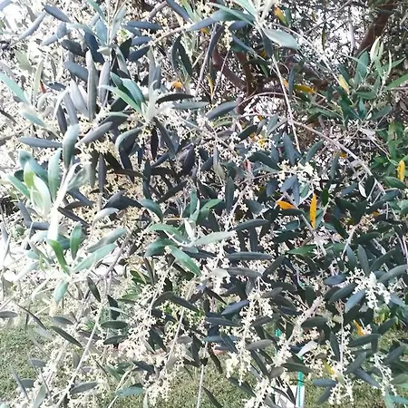 דירה Relax Zone *