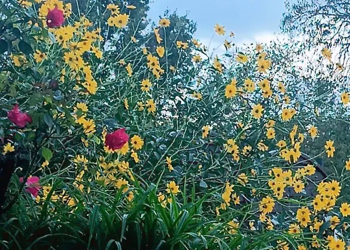 아파트 Relax Zone