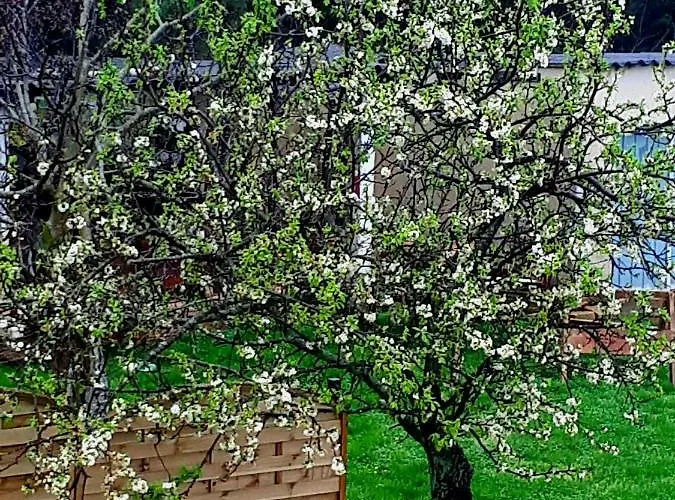 Relax Zone 우마그