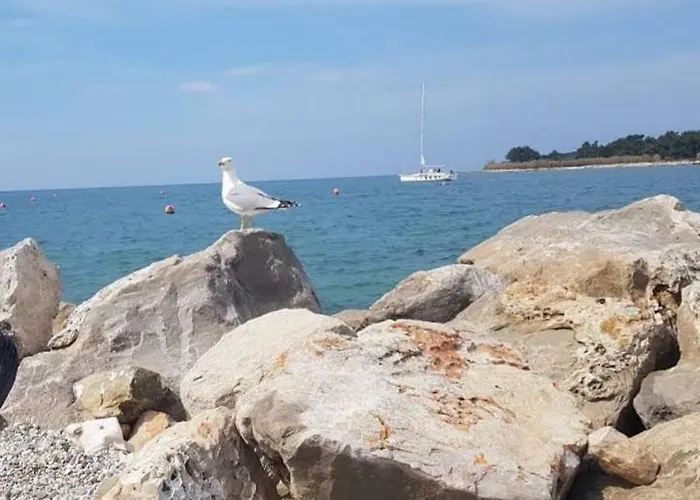 아파트 Relax Zone