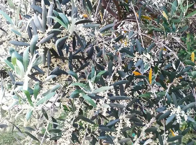 Appartement Relax Zone *