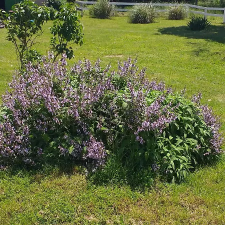 Apartmán Relax Zone Umag