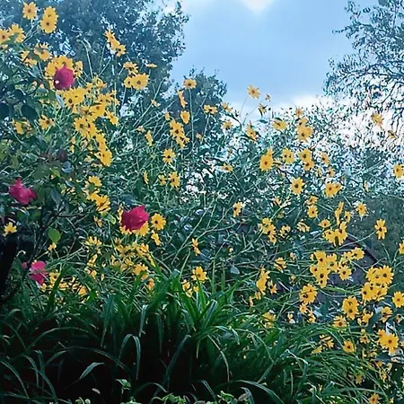 Апартаменты Relax Zone