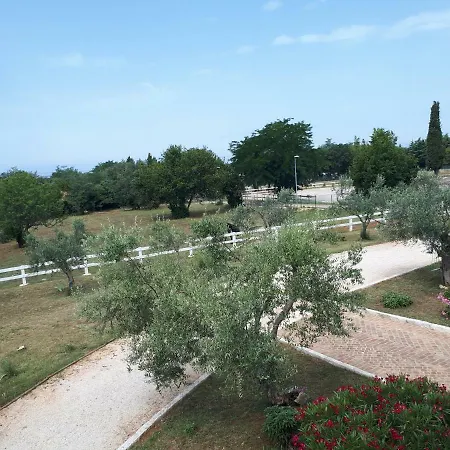 Relax Zone Apartman *