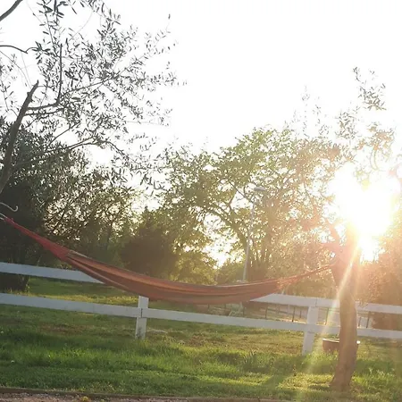 Relax Zone Apartmán