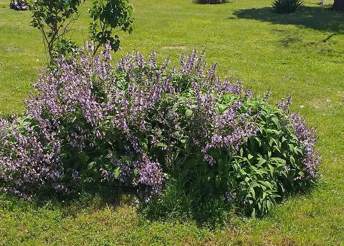 Lejlighed Relax Zone Umag