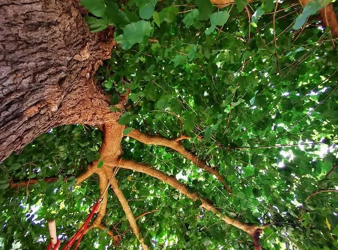 Relax Zone Lejlighed *