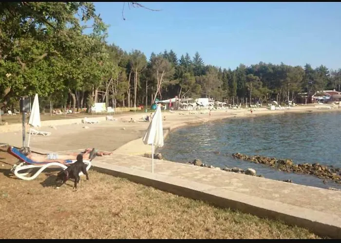 Relax Zone