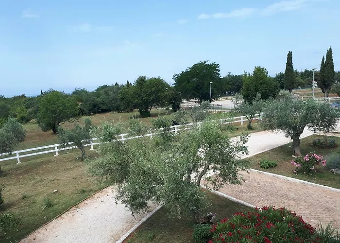 Relax Zone Lejlighed *