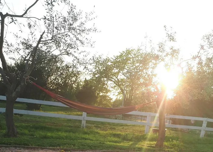 Relax Zone Апартаменты