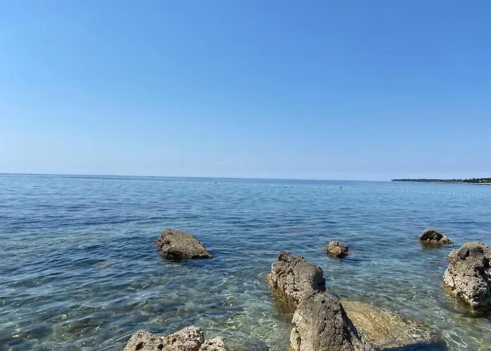 Relax Zone